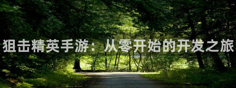 manbet报数：狙击精英手游：从零开始的开发之旅