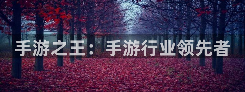 pcmanbetapp官网下载：手游之王：手游行业领先者