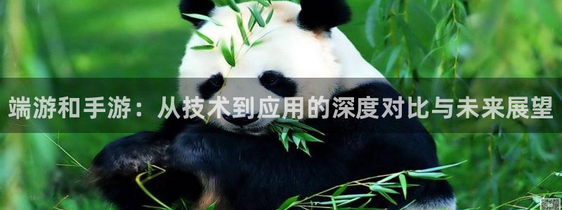 加拿大pc28开奖网站大神：端游和手游：从技术到应用的深度对