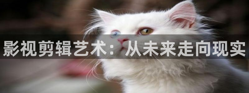 皮特影院：影视剪辑艺术：从未来走向现实