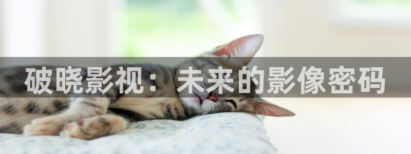 皮特影院手机在线看,电视剧：破晓影视：未来的影像密码