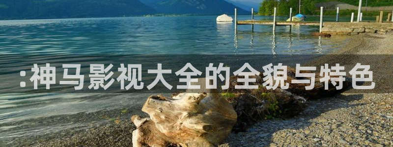 皮特影院在线免费观看：:神马影视大全的全貌与特色