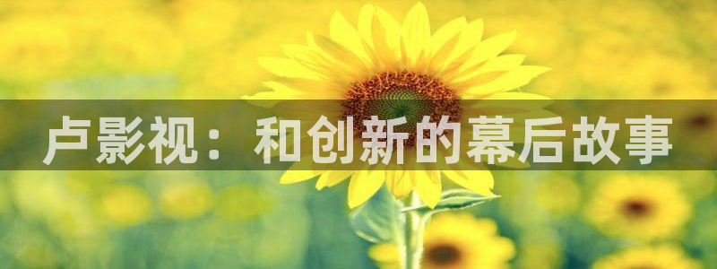 皮特影院电影免费播放：卢影视：和创新的幕后故事